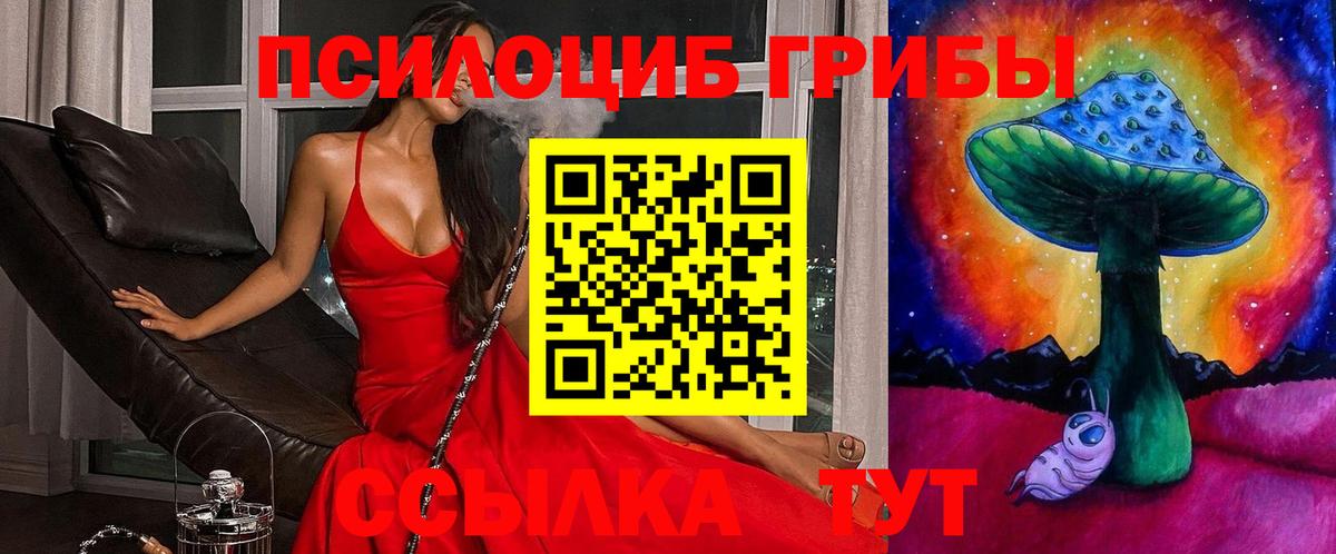 Галлюциногенные грибы MAGIC MUSHROOMS Кудрово