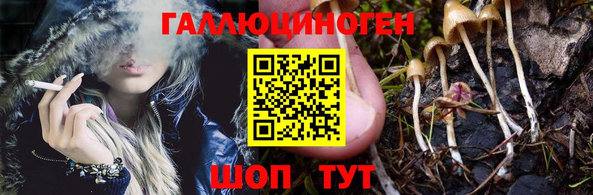Галлюциногенные грибы мухоморы  Псилоцибиновые грибы Psilocybe  Кудрово  Вход с VPN 