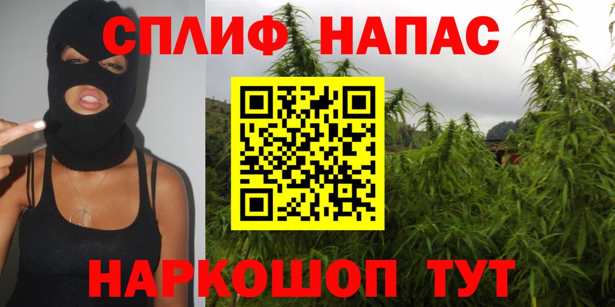 Шишки марихуана конопля  Шишки марихуана индика  Конопля AK-47  Вход с VPN  Кудрово 